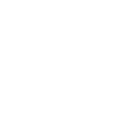 MAGNUM ENTRY